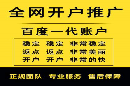 百度推广中的创意策略：成功案例解析与启示